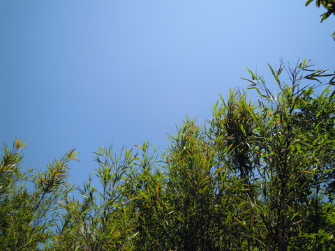 DSCN5804