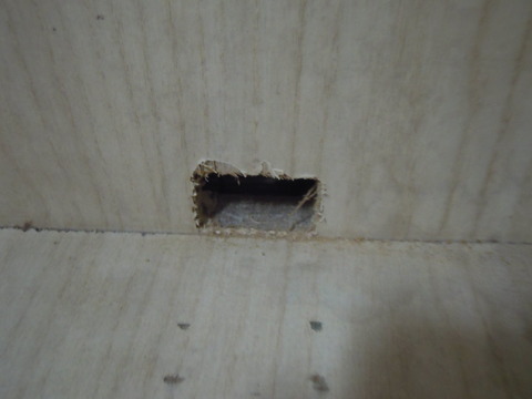 DSCN7685