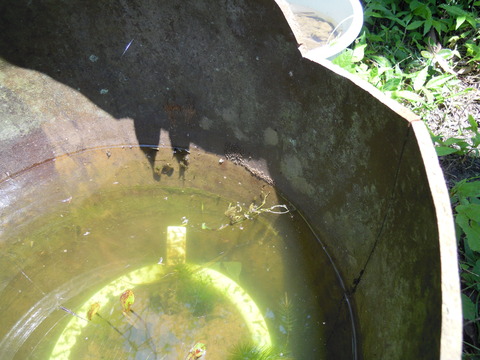 DSCN5831