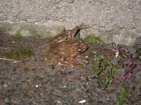 DSCN5922