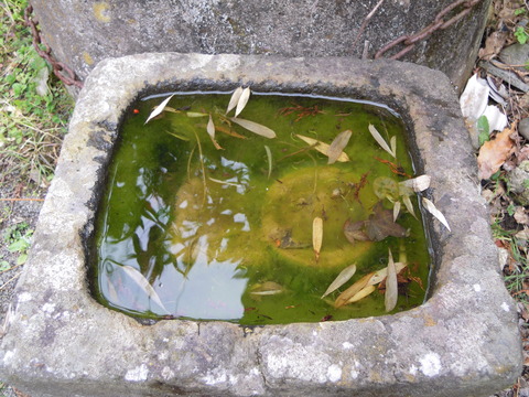 DSCN8324