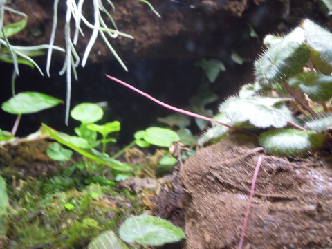 DSCN8208