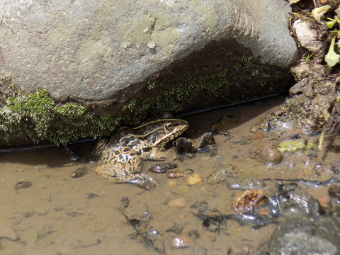 DSCN0207