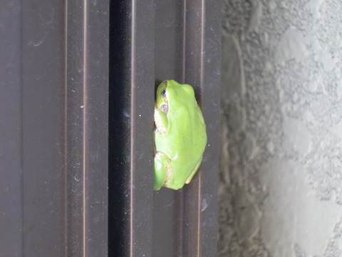 DSCN5798