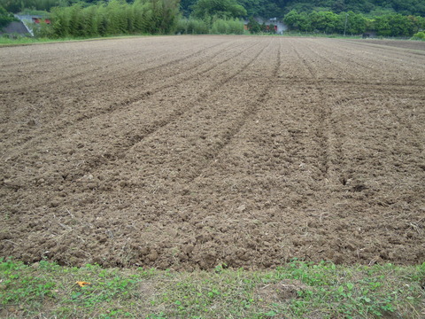 DSCN5769