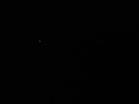 DSCN5906