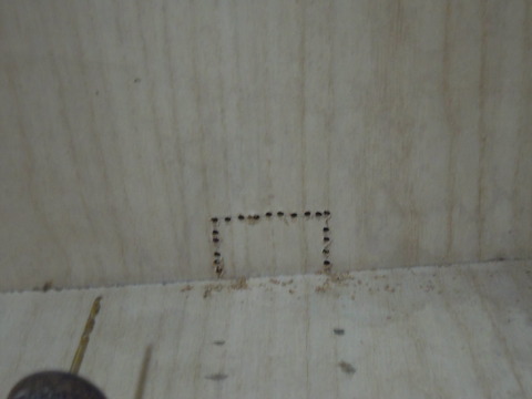 DSCN7683