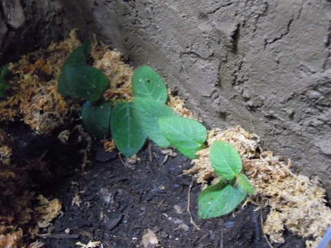 DSCN8314