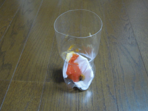 DSCN8096
