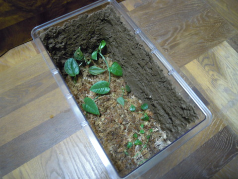 DSCN8258