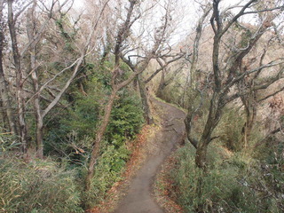 尾根道