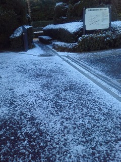 雪