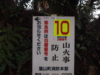 田浦への分岐