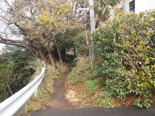 仙元山ハイキングコース入口
