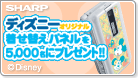 V501SH��Disney�ѥͥ�ץ쥼��ȥ����ڡ���ܺ٥ڡ�����