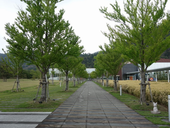 DSC01650