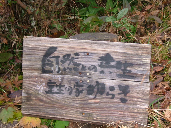 DSCF0669