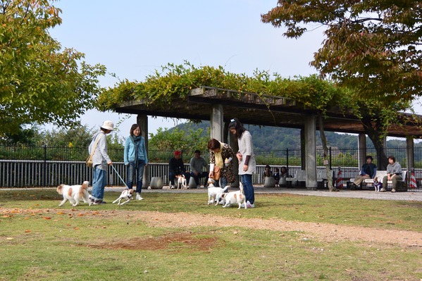 DSC_0948 - コピー