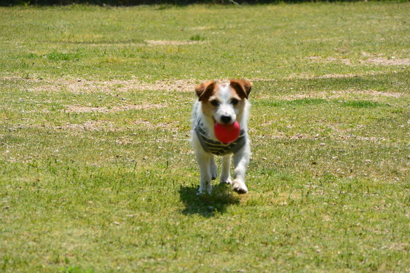 DSC_1081