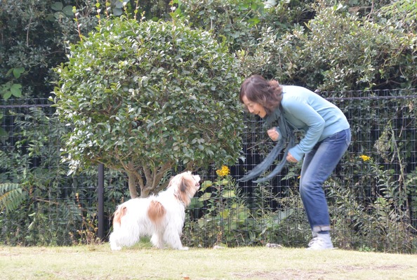 DSC_0944 - コピー