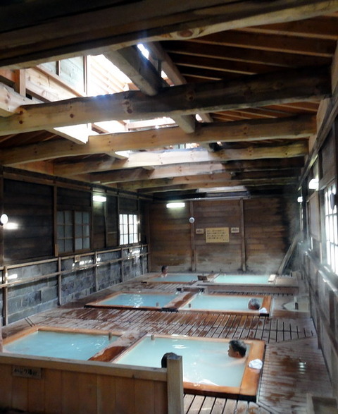 shikanoyu001