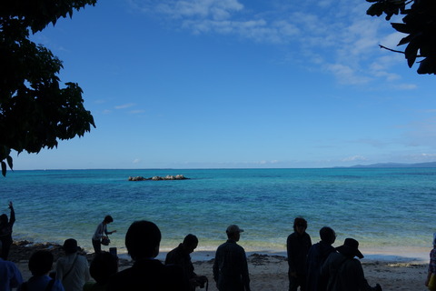 DSC07409