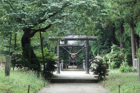 DSC07900
