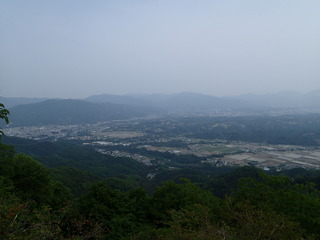 P5250399