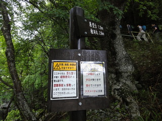 hinokibora11