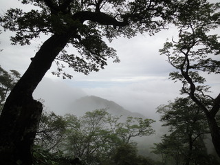 hinokibora16