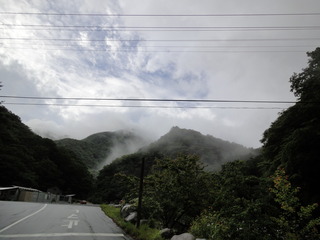 hinokibora6