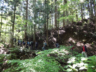 kuratake2