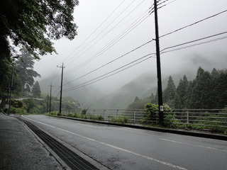 hinokibora2