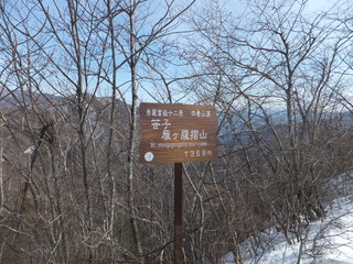 DSCF3103