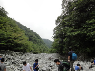 hinokibora17