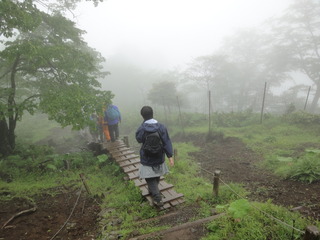 hinokibora15
