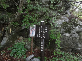 hinokibora9