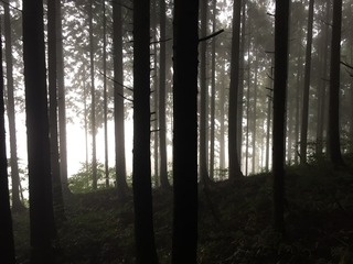 IMG_1769