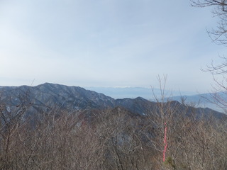 DSCF3104