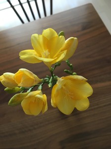 IMG_8059