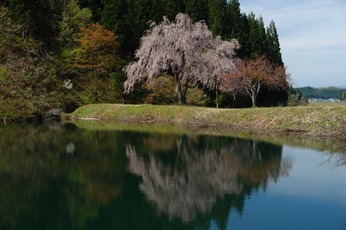 DSC06593_640