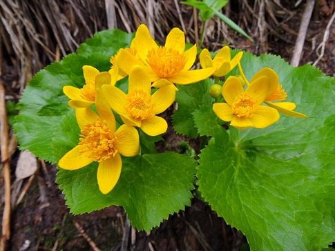 ��������쥤����