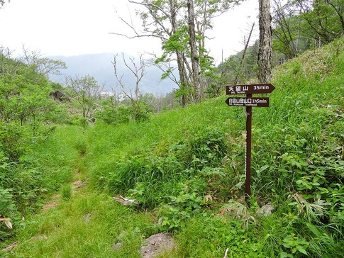 天望山へ