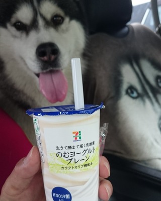 IMG_20180618_082811_041