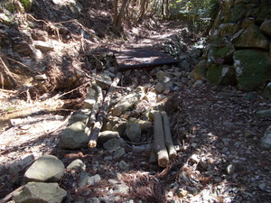 DSCN0469
