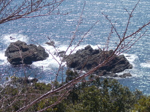 DSCN0501