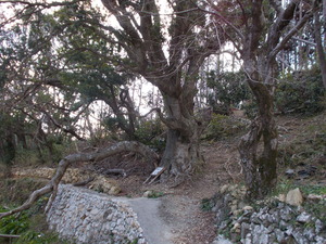 DSCN0509