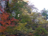 P1010233