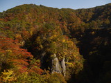 P1010182