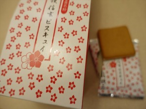 DSC02992_R